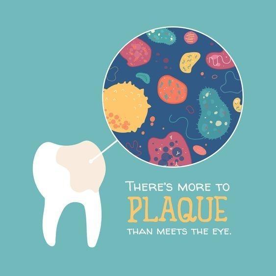 Formosa Dental Arts Blog 0.01 Intro Understanding Plaque and Bacteria